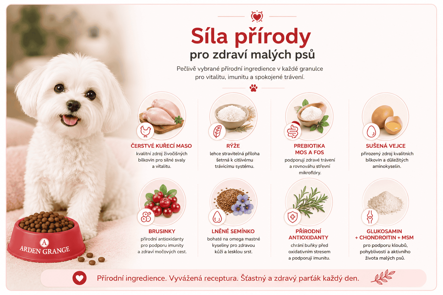 Arden Grange Adult Small infografika síla přírody pro zdraví malých psů